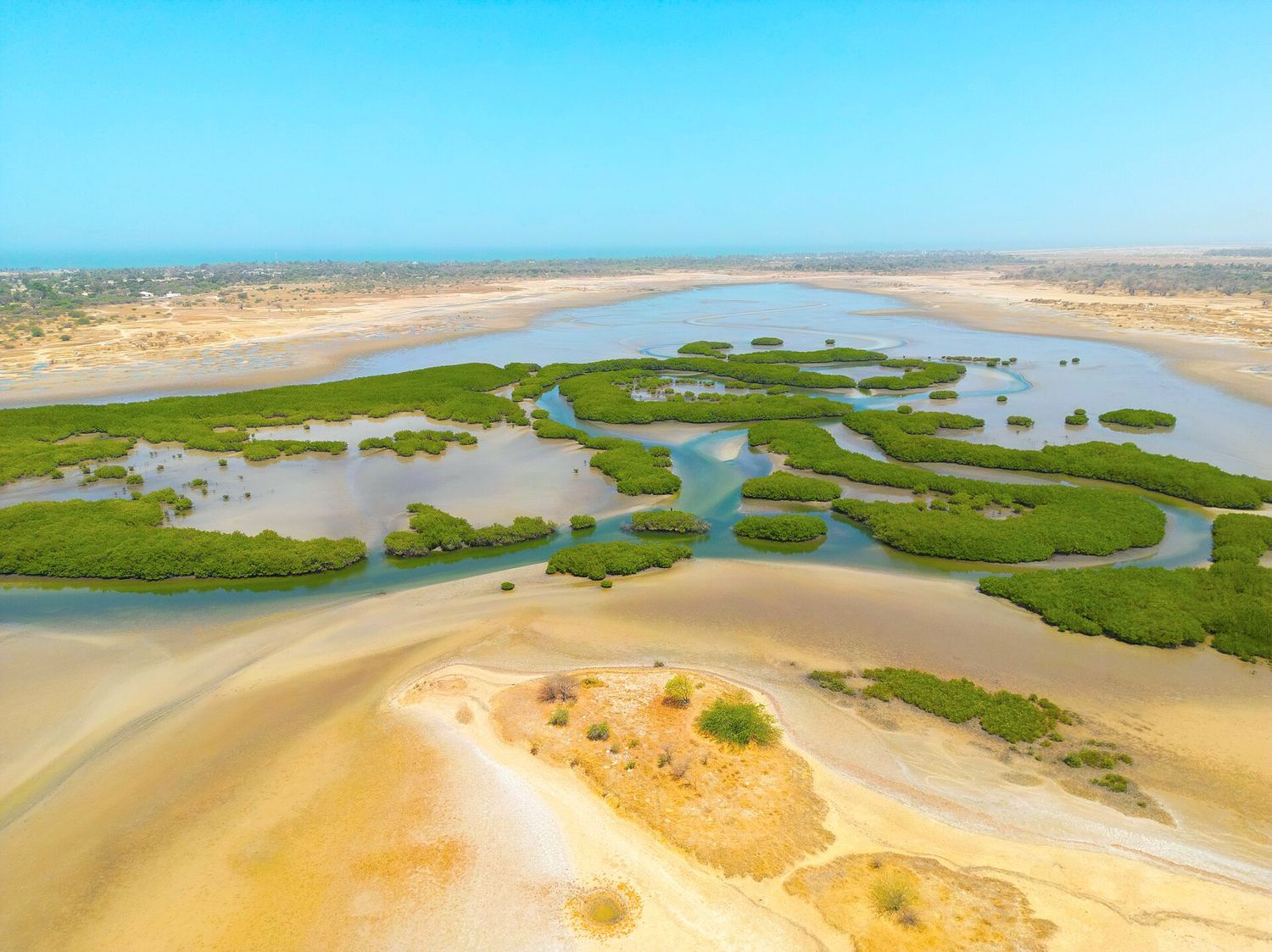 Sénégal 2026 : Dakar, Gorée, Saloum et Casamance — Itinéraire et Budget