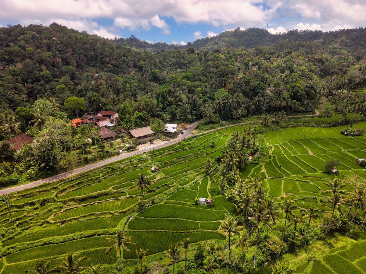 Bali